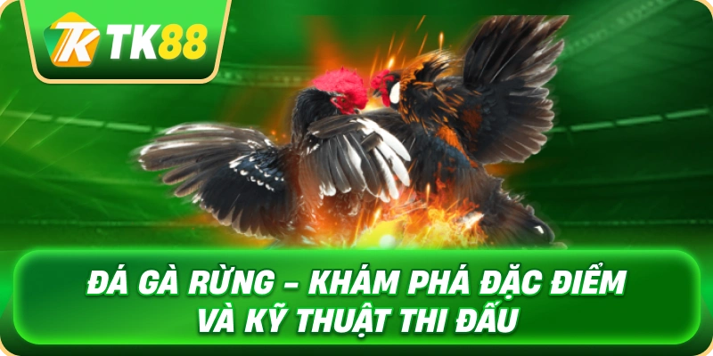 da_ga_rung_kham_pha_dac_diem_va_ky_thuat_thi_dau_1x