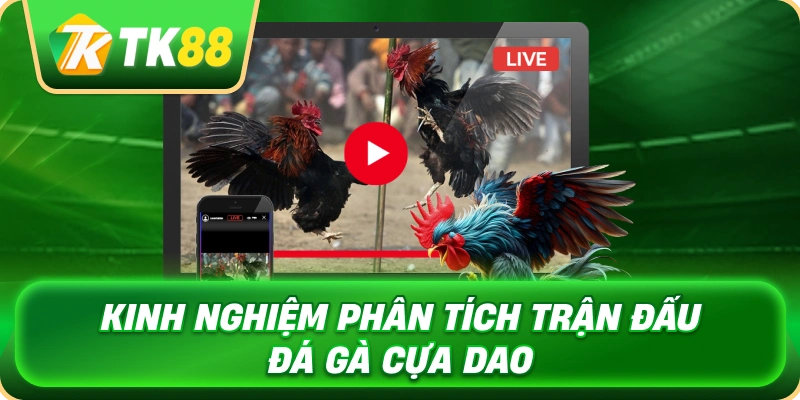kinh_nghiem_phan_tich_tran_dau_da_ga_cua_dao_1x