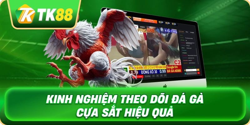 kinh_nghiem_theo_doi_da_ga_cua_sat_hieu_qua_1x
