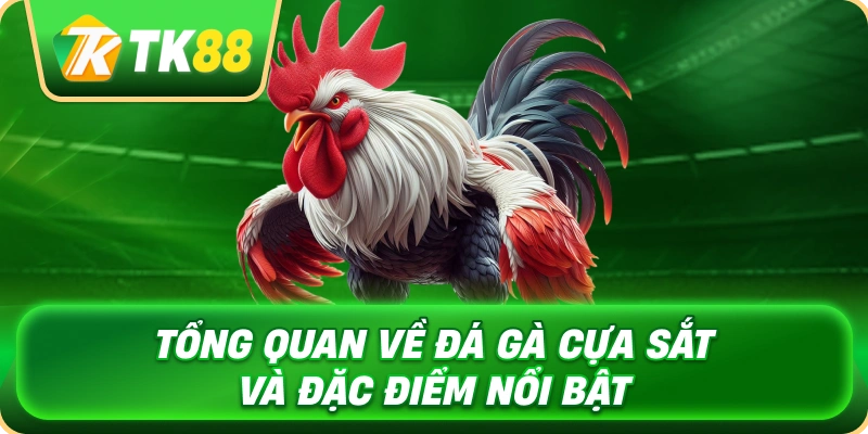tong_quan_ve_da_ga_cua_sat_va_dac_diem_noi_bat_1x